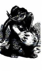 One Last Sin : The Elephant